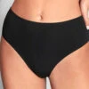 Empreinte Iconic High Waist Bikini Brief