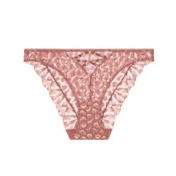 Aubade Crazy In Love Briefs