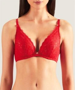 Aubade Rosessence Wired Plunge Bra -Maison SL Store AUBADE ROSESSENCE WIRED PLUNGE LACE BRA RED