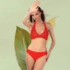 Nicole Olivier Brodes Cha Bikini Set