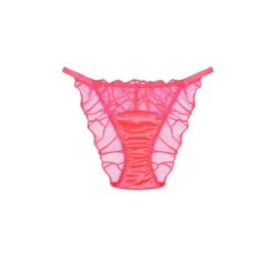 Fleur Of England Cleo Briefs