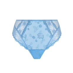 Lise Charmel Sublime En Dentelle Classic Briefs