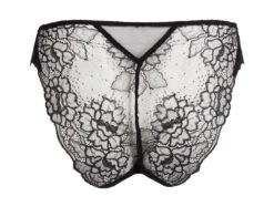 Lise Charmel Sublime Lace Briefs -Maison SL Store H13 ACH0713 0005 vuesSecondaires 0