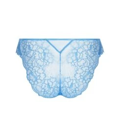 Lise Charmel Sublime Lace Briefs -Maison SL Store H13 ACH0713 5302 vuesSecondaires 0