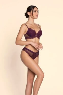 Lise Charmel Artist Luxury Embroidered Briefs -Maison SL Store J28 ACJ8528 ACJ0728 1640 vuesPortees 3 4DEVANT