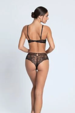 Lise Charmel Charme Secret Luxury Padded Plunge Bra -Maison SL Store J33 ACJ8933 ACJ0433 18075 vuesPortees DOS