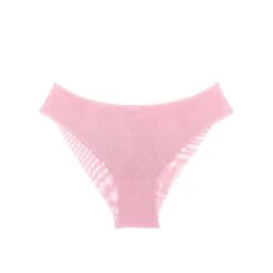 I.D.Sarrieri Gia Tulle Seamless Briefs