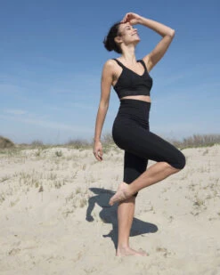 MAISON LEJABY Lejaby Inspire Shape Sports Cropped Leggings -Maison SL Store lejaby inspire shape sports bra black