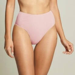 I.D.Sarrieri Gia Tulle Seamless High Briefs